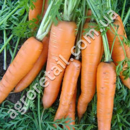 Морква Тушон 20 г Gl Seeds
