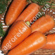 Морква Шансон Супер 3 г Gl Seeds