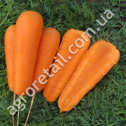 Морква Яскрава 3 г Gl Seeds