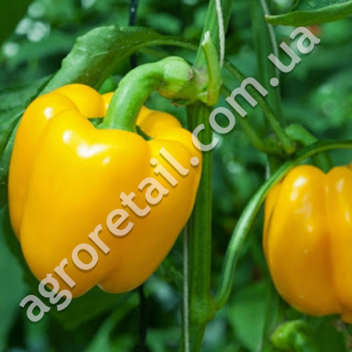 Перец Альба 0.25 г Gl Seeds