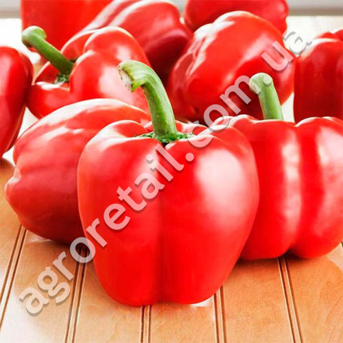 Перец Звезда востока красная 0.25 г Gl Seeds