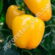 Перец Золотой телец 0.25 г Gl Seeds