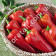 Перец Миролюбовский F1 0.25 г Gl Seeds