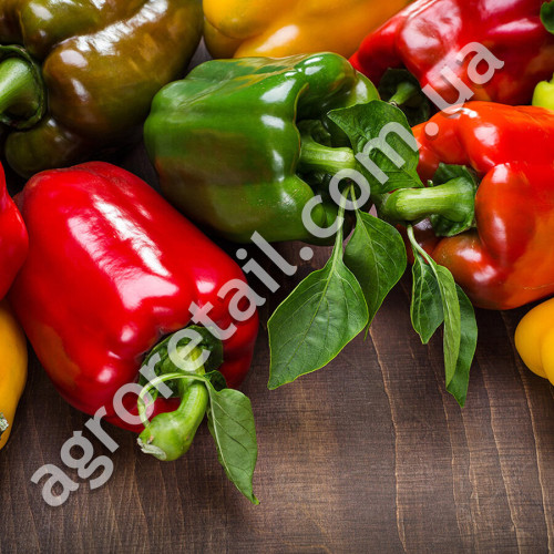Перец Сударь 0.25 г Gl Seeds