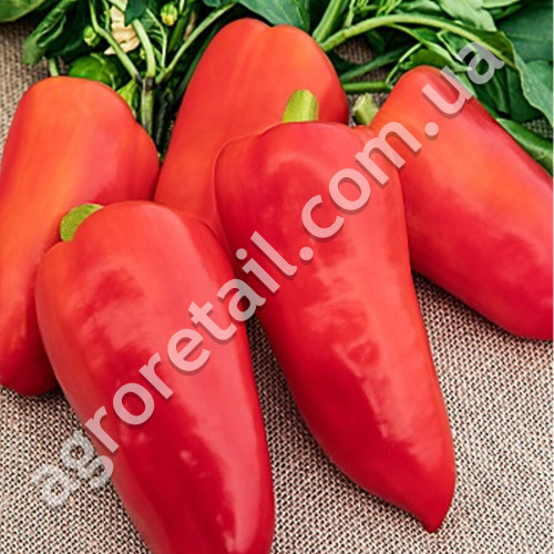 Перец Франциус 0.25 г Gl Seeds