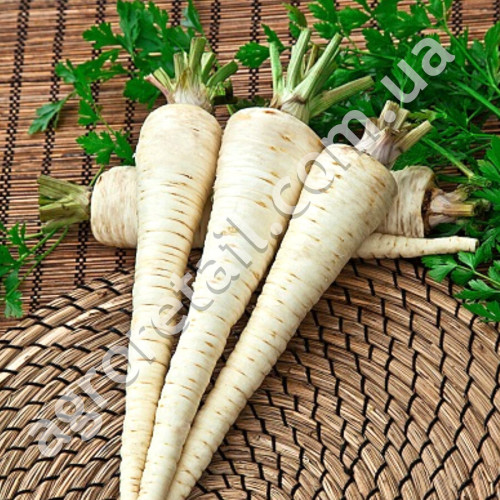 Петрушка Цукрова коренева 20 г Gl Seeds