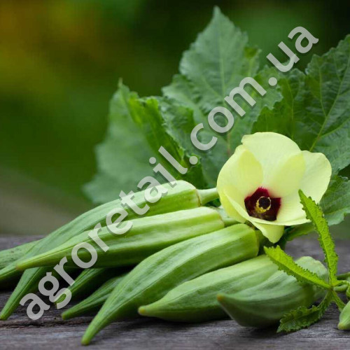 Бамия Зеленый бархат 0.25 г Gl Seeds