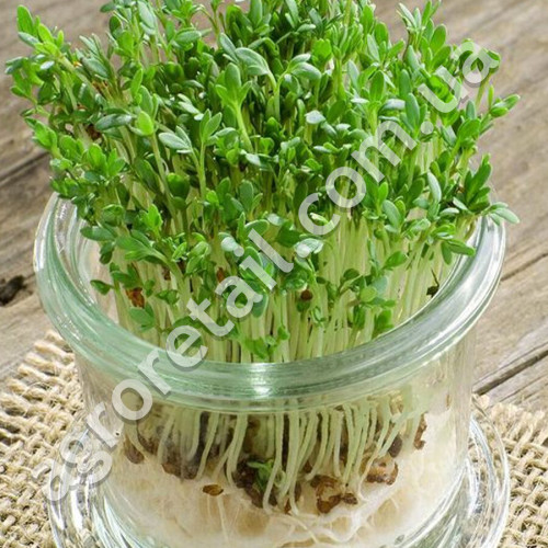 Кресс-салат Афродита 2 г Gl Seeds