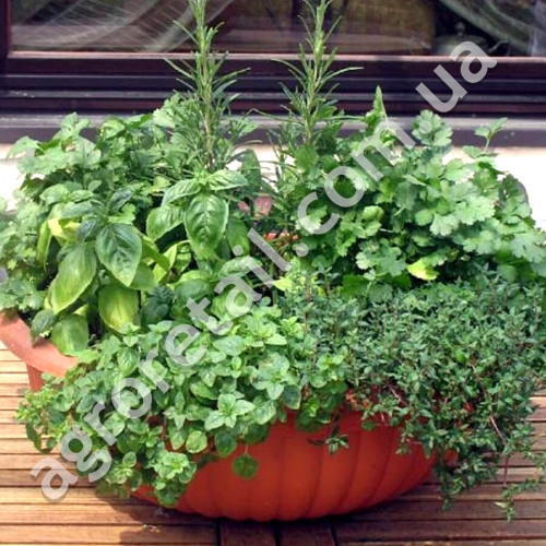 Пряні Кухонні трави 20 г Gl Seeds