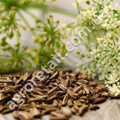 Кмин Апетитний 1 г Gl Seeds