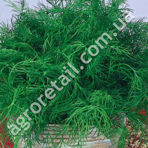 Укроп Аллигатор 20 г Gl Seeds