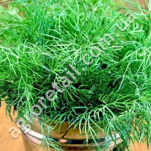 Кріп Супердукат 3 г Gl Seeds