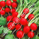 Редис Спека 20 г Gl Seeds