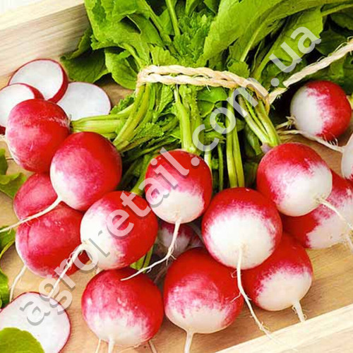 Редис Червоний з білим кінчиком 50 г Gl Seeds