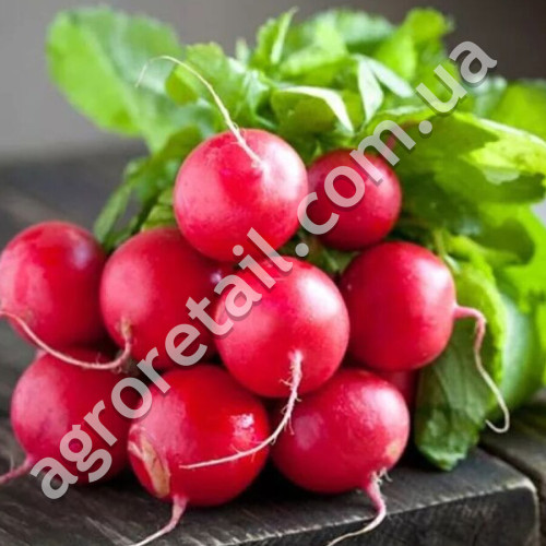 Редис Блискавка 3 г Gl Seeds