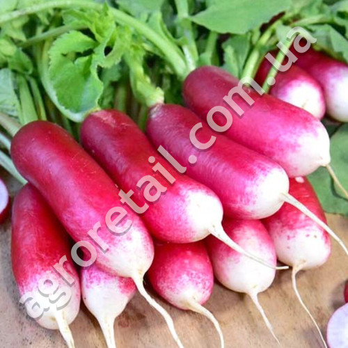 Редис Французький сніданок 20 г Gl Seeds