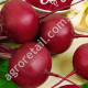 Свекла Бордо 237 3 г Gl Seeds