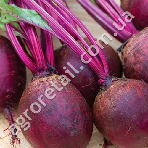 Свекла Бычья кровь 2 г Gl Seeds