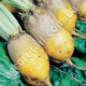 Буряк кормовий Эккендорфская жовта 20 г Gl Seeds