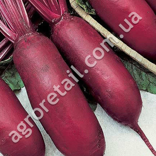 Свекла Реваль 20 г Gl Seeds