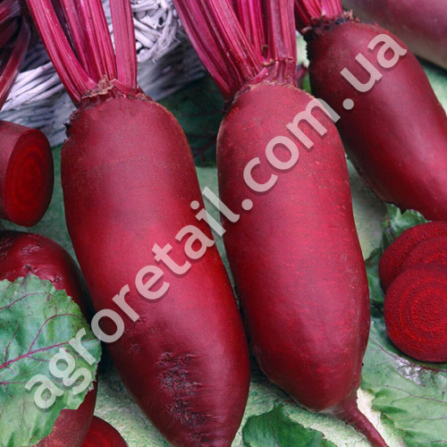 Свекла Торпедо 20 г Gl Seeds