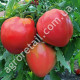 Томат Бычье сердце розовый 0.1 г Gl Seeds