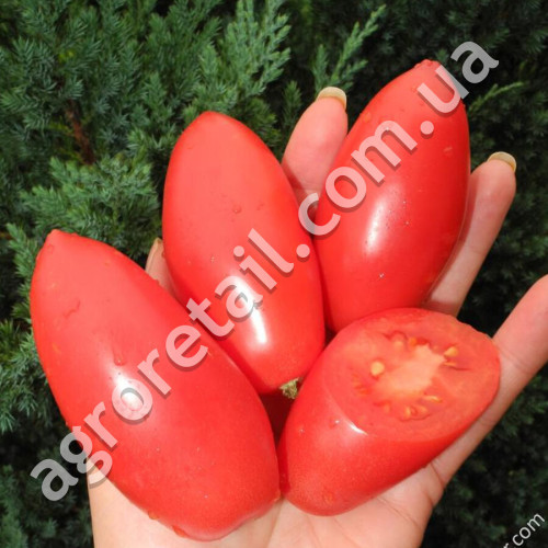 Томат Варвара 0.15 г Gl Seeds