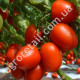 Томат Де-барао гигант красный 0.1 г Gl Seeds