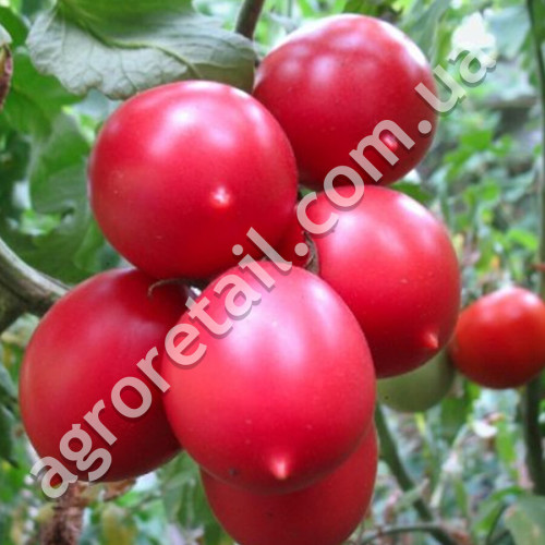 Томат Де-барао розовый 0.1 г Gl Seeds