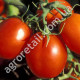Томат Засолочный деликатес 0.15 г Gl Seeds