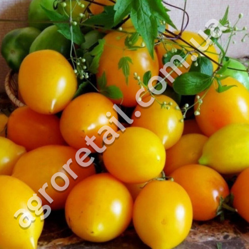 Томат Золотой самородок 0.1 г Gl Seeds