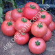 Томат Иваныч F1 0.1 г Gl Seeds