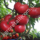 Томат Корнеевский розовый 0.15 г Gl Seeds