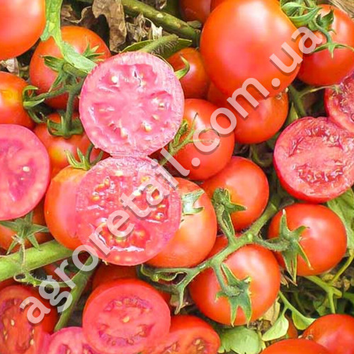 Томат Кристмас Грейпс 0.15 г Gl Seeds