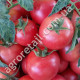Томат Ляна розовая 0.15 г Gl Seeds