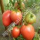 Томат Мазаріні 0.1 г Gl Seeds