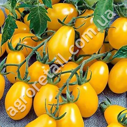 Томат Оберег 0.1 г Gl Seeds