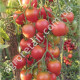 Томат Очарование 0.1 г Gl Seeds