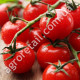Томат Ред Черри 0.1 г Gl Seeds