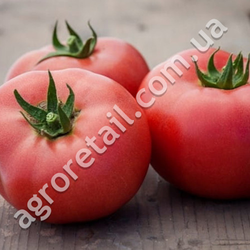 Томат Розовая мечта 0.1 г Gl Seeds