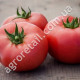 Томат Розовая мечта 0.1 г Gl Seeds