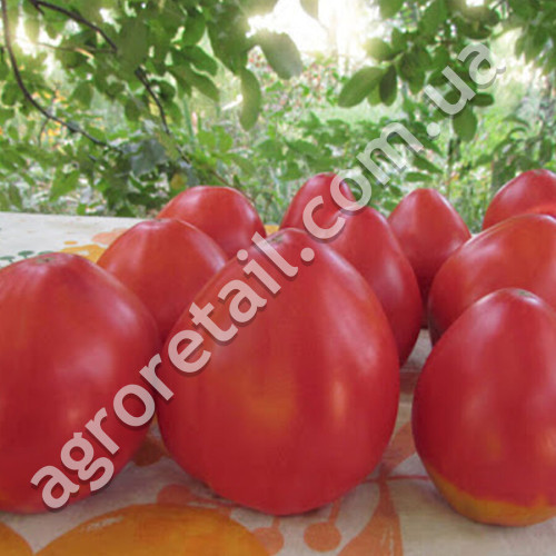 Томат Севрюга 0.1 г Gl Seeds