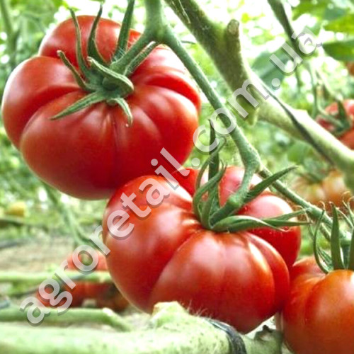 Томат Супермарманде 0.15 г Gl Seeds