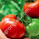 Томат Три толстяка 0.15 г Gl Seeds