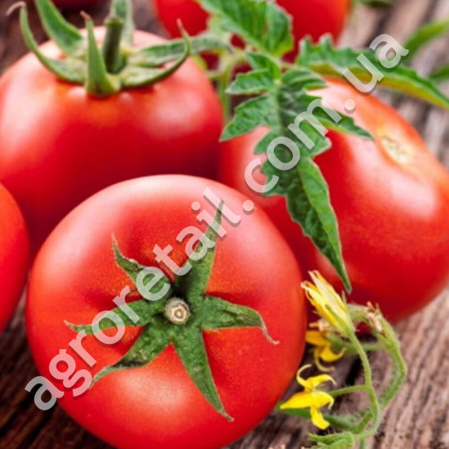 Томат Фермерский 0.15 г Gl Seeds