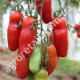 Томат Черевички 0.15 г Gl Seeds