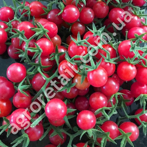 Томат Шалун 0.1 г Gl Seeds