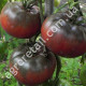 Томат Шоколадная амазонка 0.15 г Gl Seeds