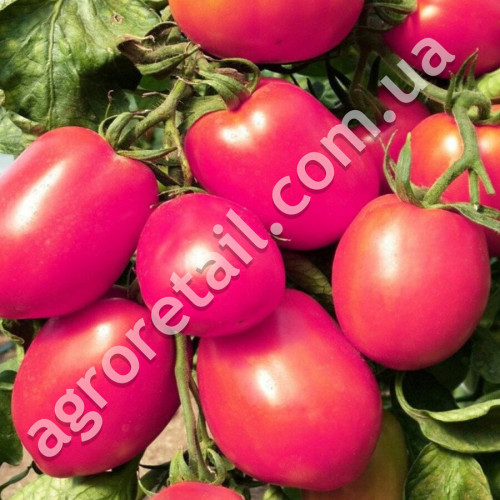 Томат Эльдорадо розовый 0.1 г Gl Seeds