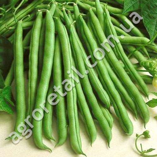 Квасоля спаржева Колібрі 10 г Gl Seeds